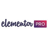 Elementor Pro